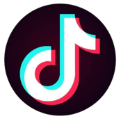 TikTok Icon